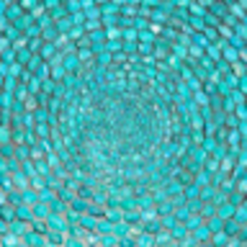 Meet your Posher, Sienna